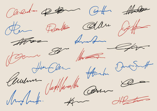 Collection of made up hand drawn pen anonymous random vector signatures
